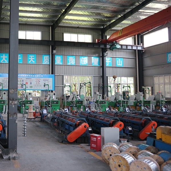 ������Ƭ