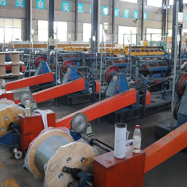 ������Ƭ